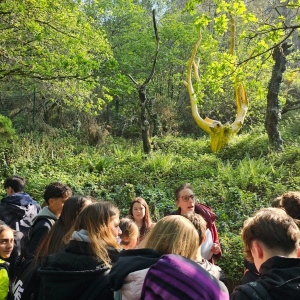 L'arbre d'or