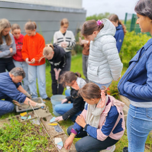 Réalisation d'une mosaïque autour du potager