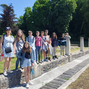Coriosolis 6