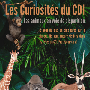 Les Curiosités du CDI - animaux en voie de disparition