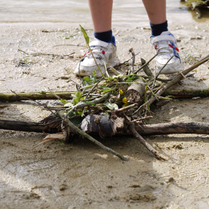 Atelier land art