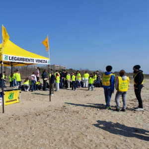 Opération nettoyage de la plage du Lido