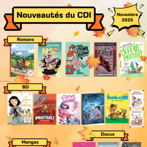 Nouveautés du CDI - Novembre 2025