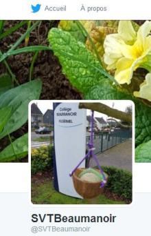 Compte twitter sur la biodiversité et le développement durable au collège Beaumanoir