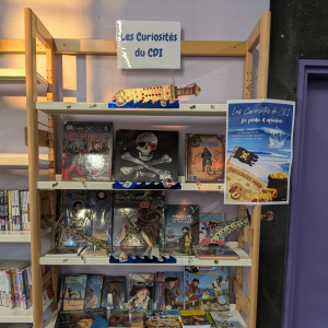 Les Curiosités du CDI - Explorateurs et pirates 1