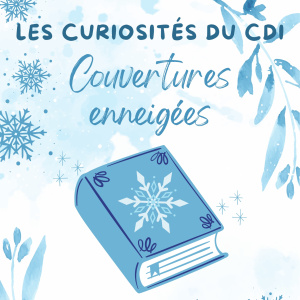 Les Curiosités du CDI - Couvertures enneigées