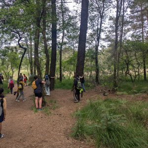 Session de câlins aux arbres