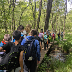 Balade autour de l'étang de Paimpont