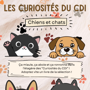 Les Curiosités du CDI - Chiens et chats