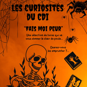 Les Curiosités du CDI - Fais moi peur