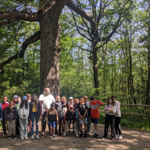 Les 6D et le professeur Tortillon