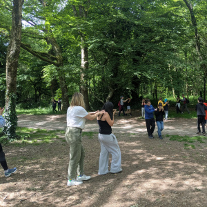Expérience - Regarder la forêt dans un miroir