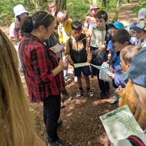 Identification des feuilles