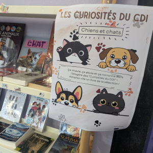 Curiosités du CDI 1