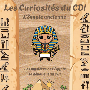 Les Curiosités du CDI - affiche